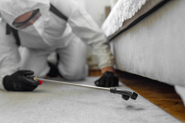Professional Cockroach Control technician working in Westlake, TX